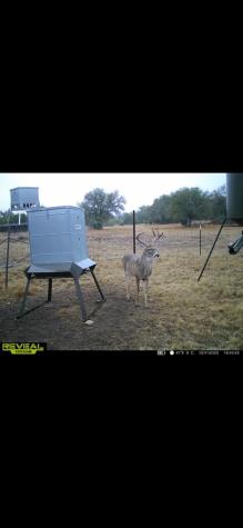 24 W Kc 24 Junction TX 76849