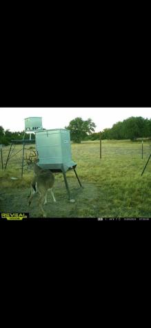 24 W Kc 24 Junction TX 76849