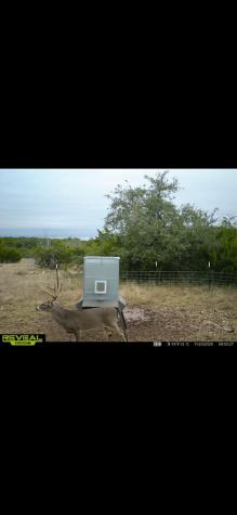 24 W Kc 24 Junction TX 76849