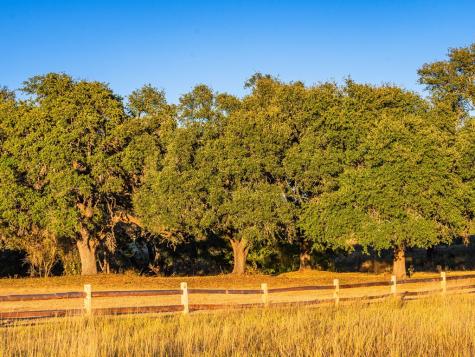 326 Lehne Lane Fredericksburg TX 78624