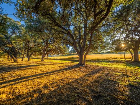 326 Lehne Lane Fredericksburg TX 78624