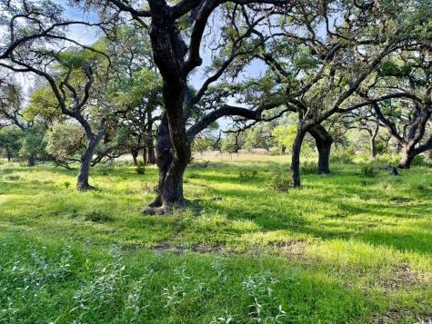 3513 N Us Highway 281 Blanco TX 78606