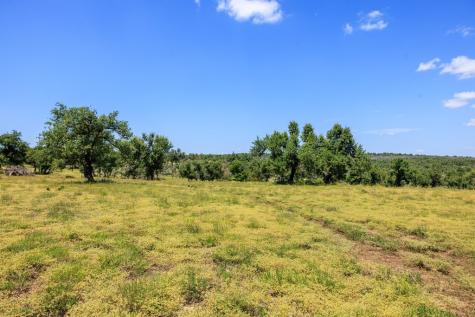 2656 Meier Road Fredericksburg TX 78624