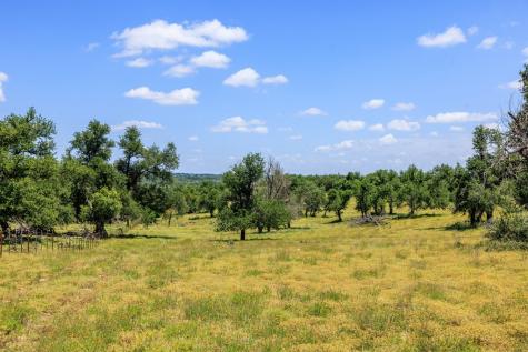 2656 Meier Road Fredericksburg TX 78624