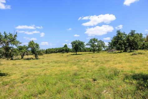 2656 Meier Road Fredericksburg TX 78624