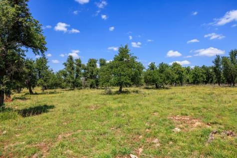 2656 Meier Road Fredericksburg TX 78624