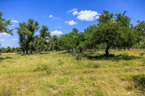 2656 Meier Road Fredericksburg TX 78624