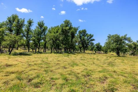 2656 Meier Road Fredericksburg TX 78624