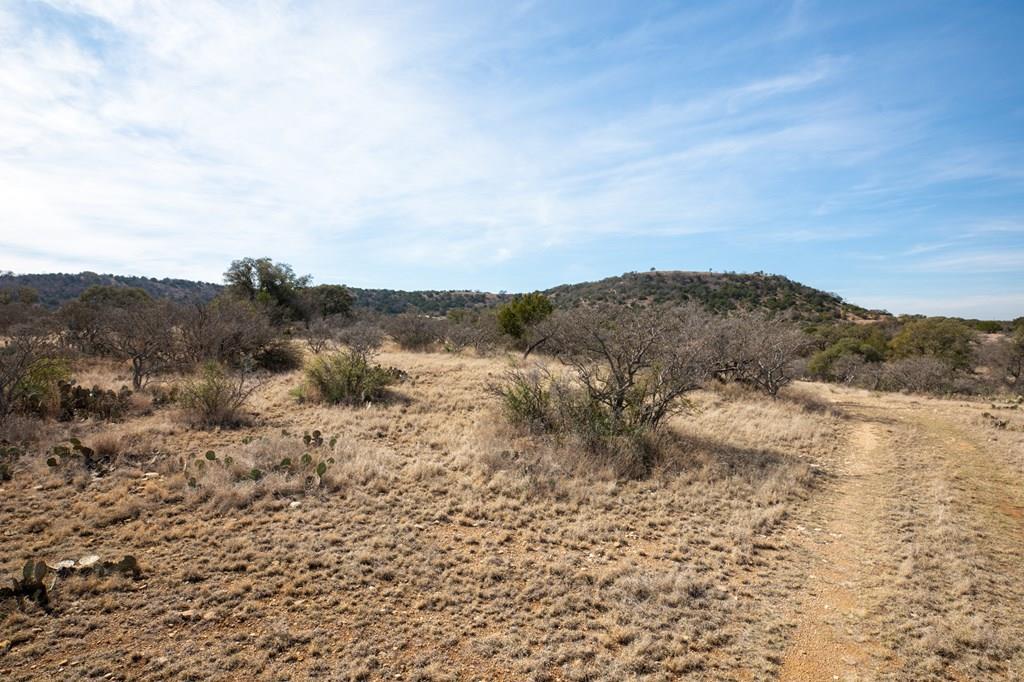 16719 - Lot 1&2 Salt Branch Loop Mason TX 76856
