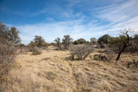 16719 - Lot 1&2 Salt Branch Loop Mason TX 76856