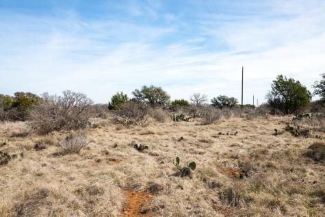 16719 - Lot 1&2 Salt Branch Loop Mason TX 76856