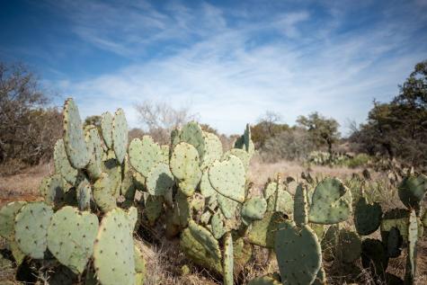 16719 - Lot 1&2 Salt Branch Loop Mason TX 76856