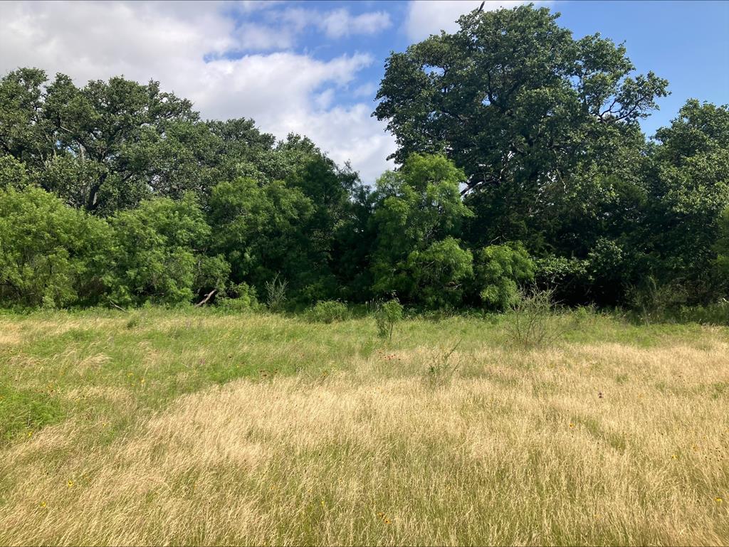 4605 W Ranch Road 1222 Mason TX 76856