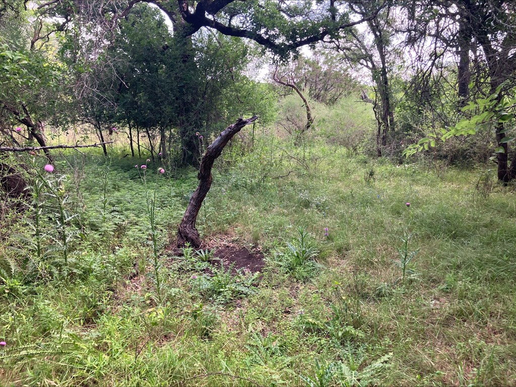4605 W Ranch Road 1222 Mason TX 76856