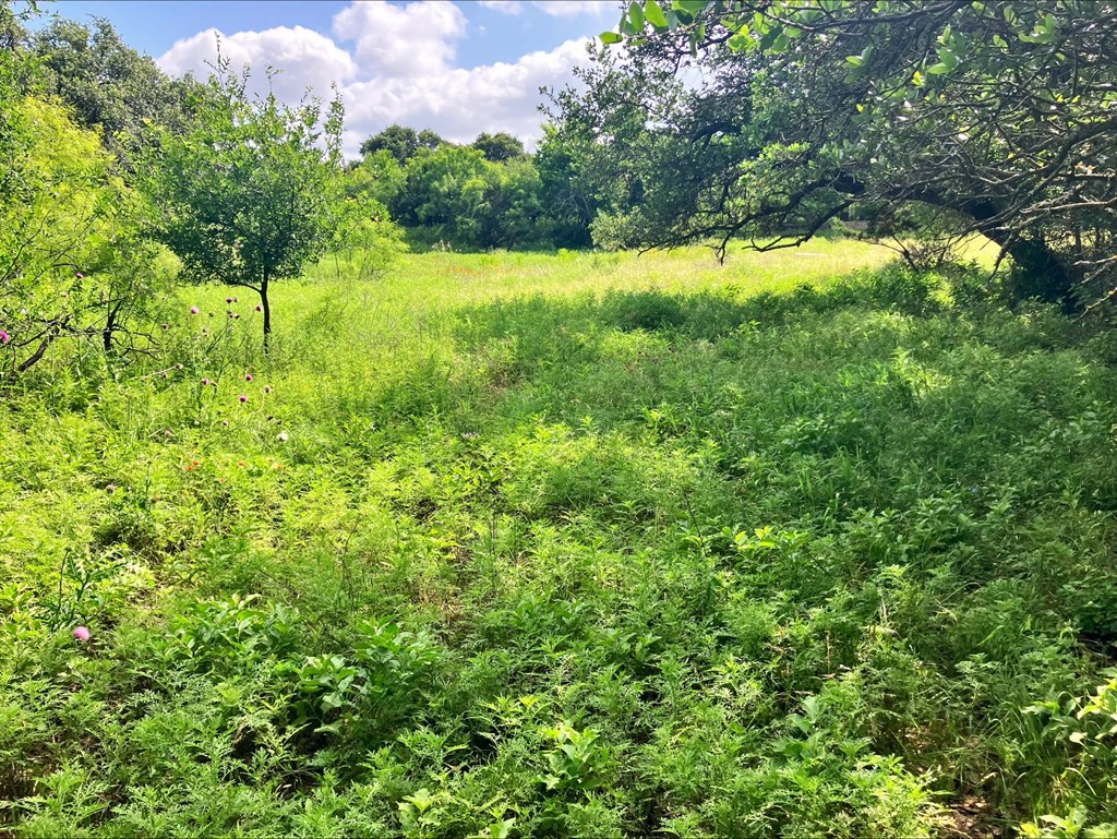 4605 W Ranch Road 1222 Mason TX 76856