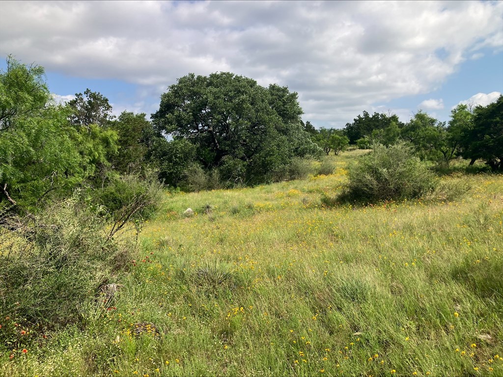 4605 W Ranch Road 1222 Mason TX 76856