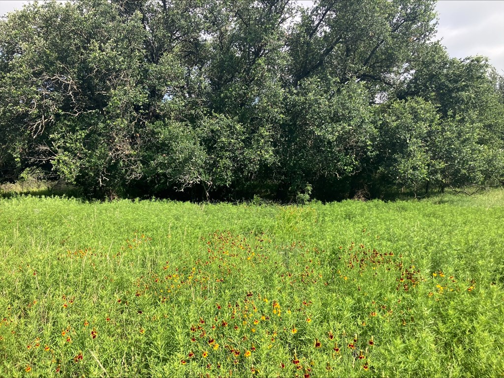 4605 W Ranch Road 1222 Mason TX 76856