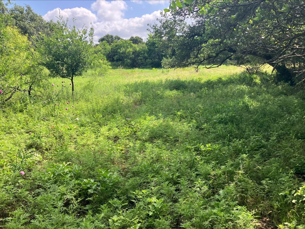 4605 W Ranch Road 1222 Mason TX 76856