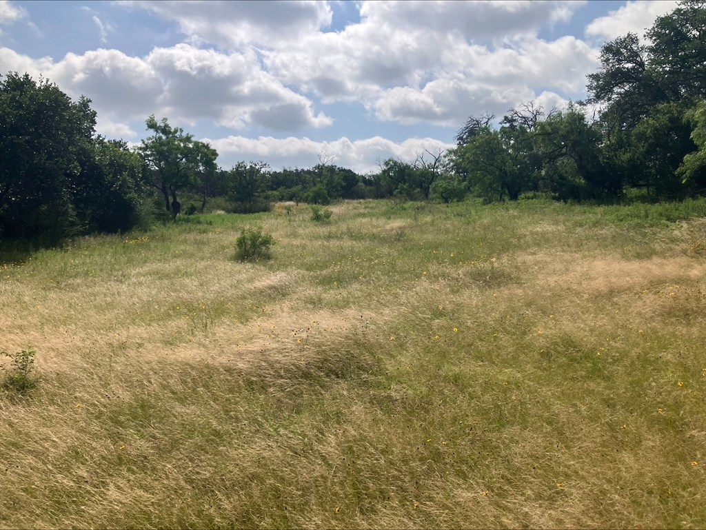4605 W Ranch Road 1222 Mason TX 76856