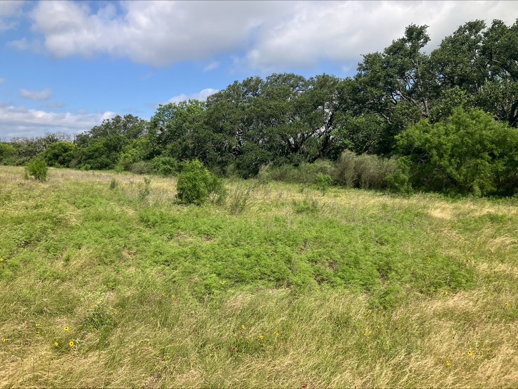4605 W Ranch Road 1222 Mason TX 76856