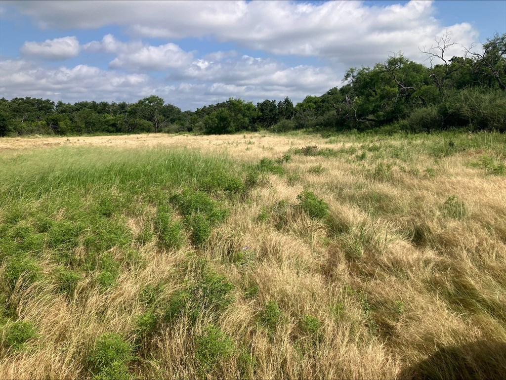4605 W Ranch Road 1222 Mason TX 76856