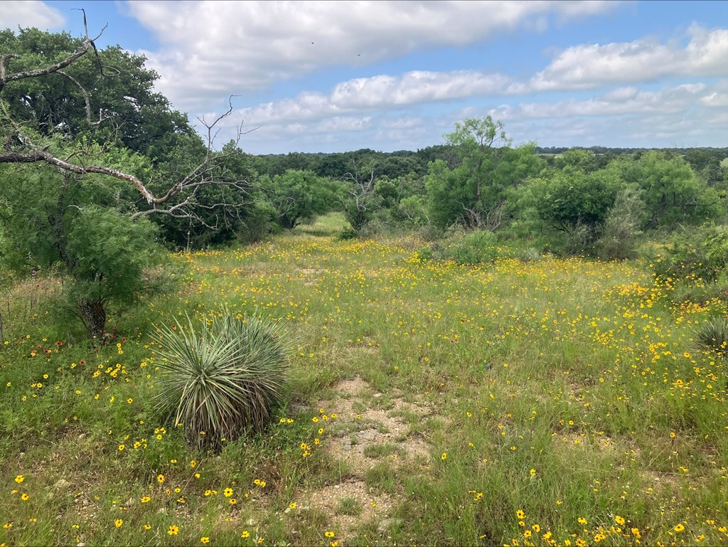 4605 W Ranch Road 1222 Mason TX 76856