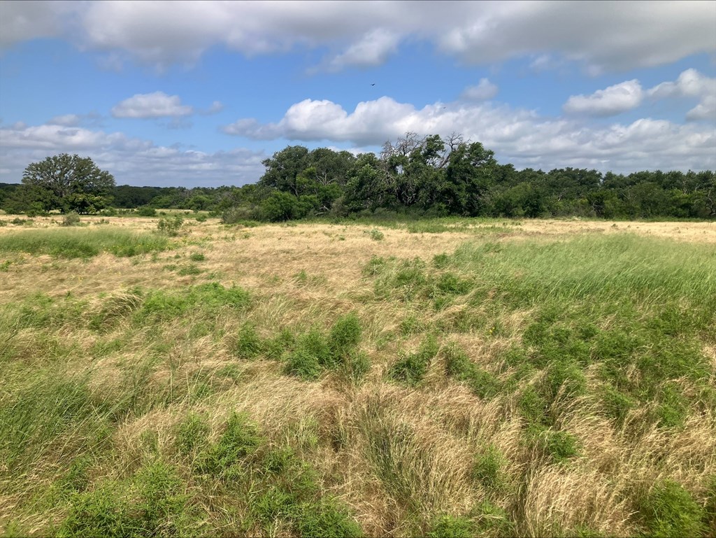 4605 W Ranch Road 1222 Mason TX 76856
