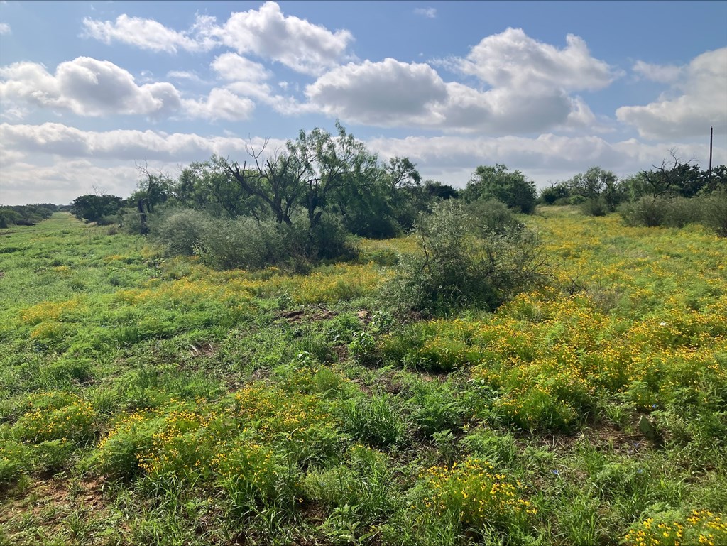 4605 W Ranch Road 1222 Mason TX 76856