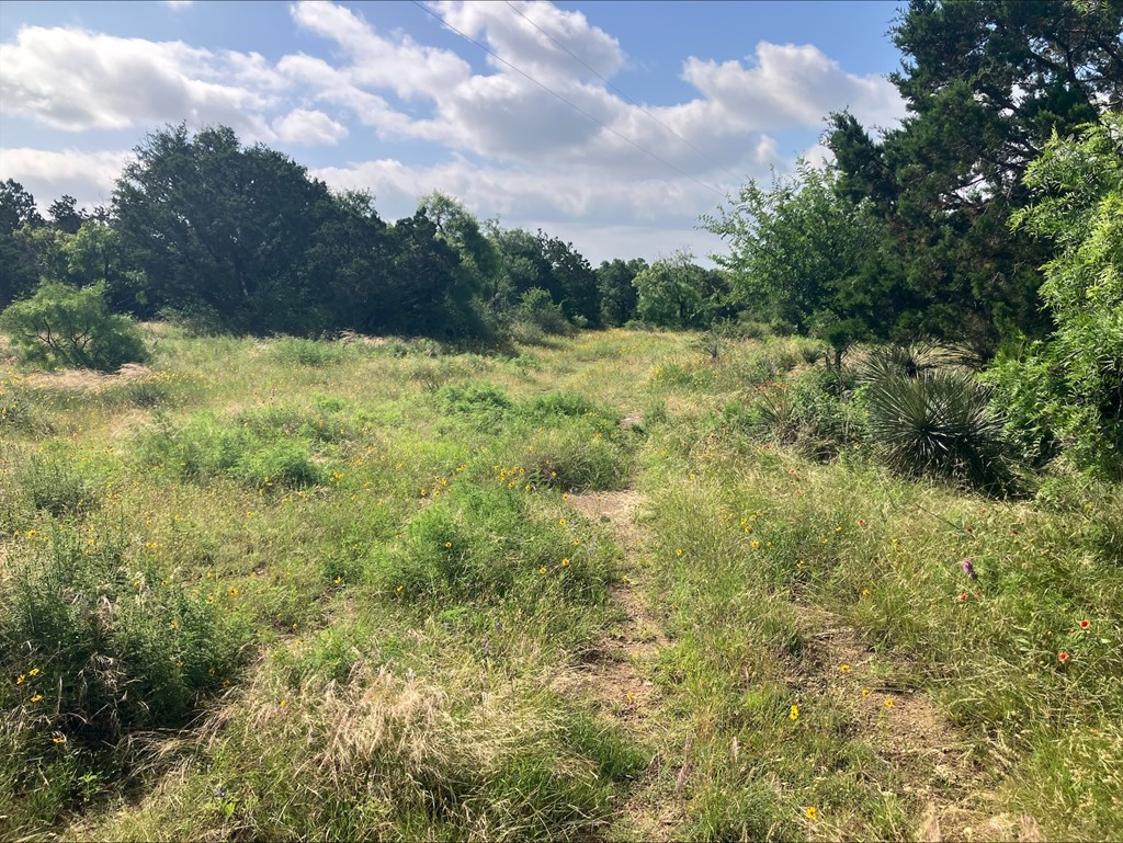 4605 W Ranch Road 1222 Mason TX 76856