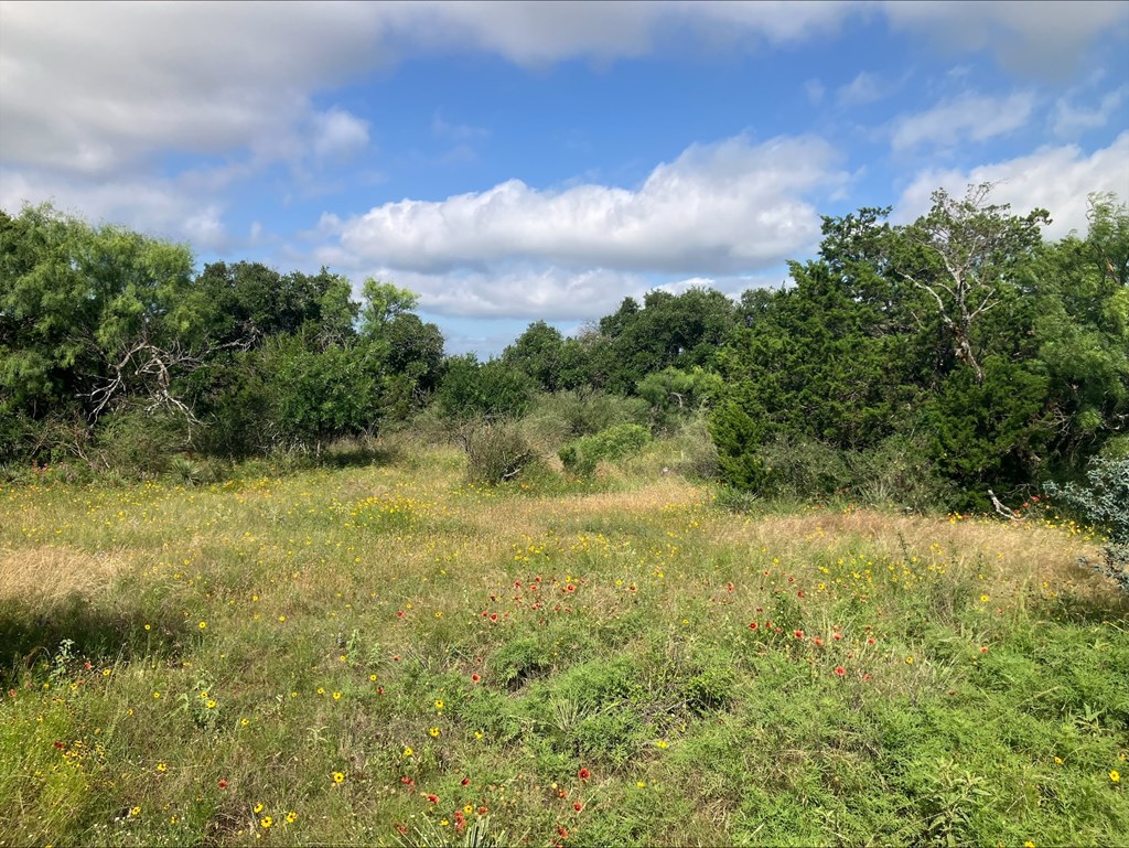 4605 W Ranch Road 1222 Mason TX 76856
