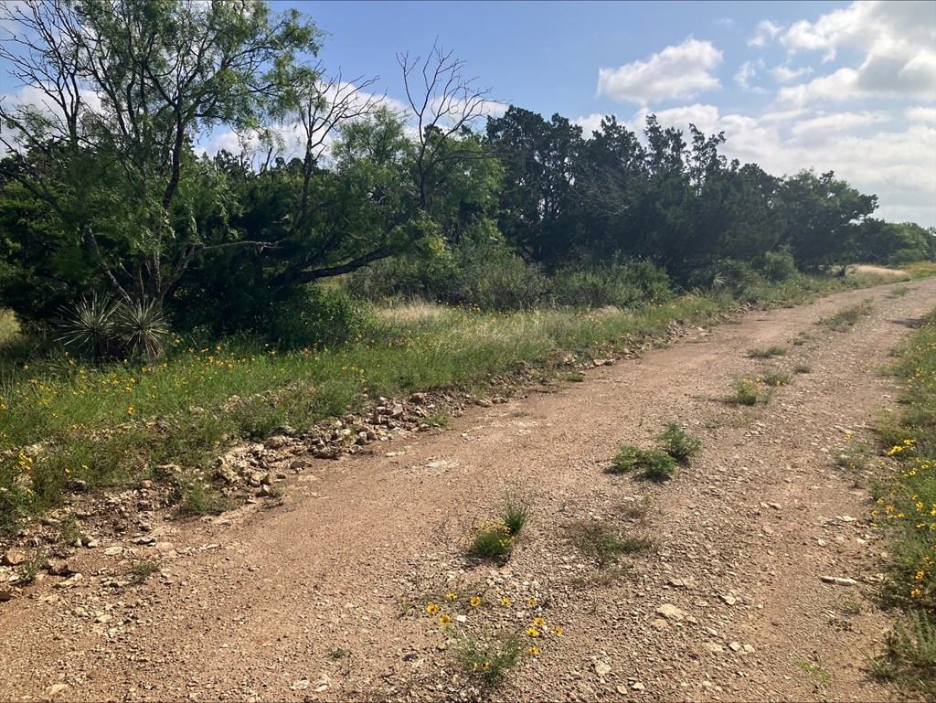4605 W Ranch Road 1222 Mason TX 76856