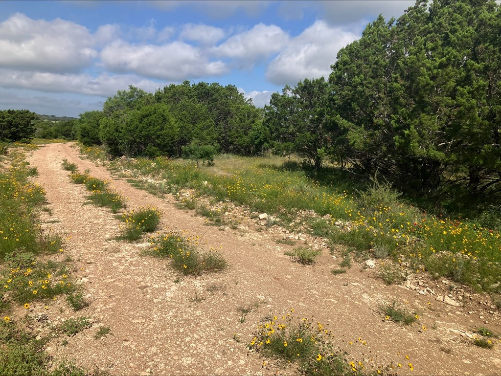 4605 W Ranch Road 1222 Mason TX 76856