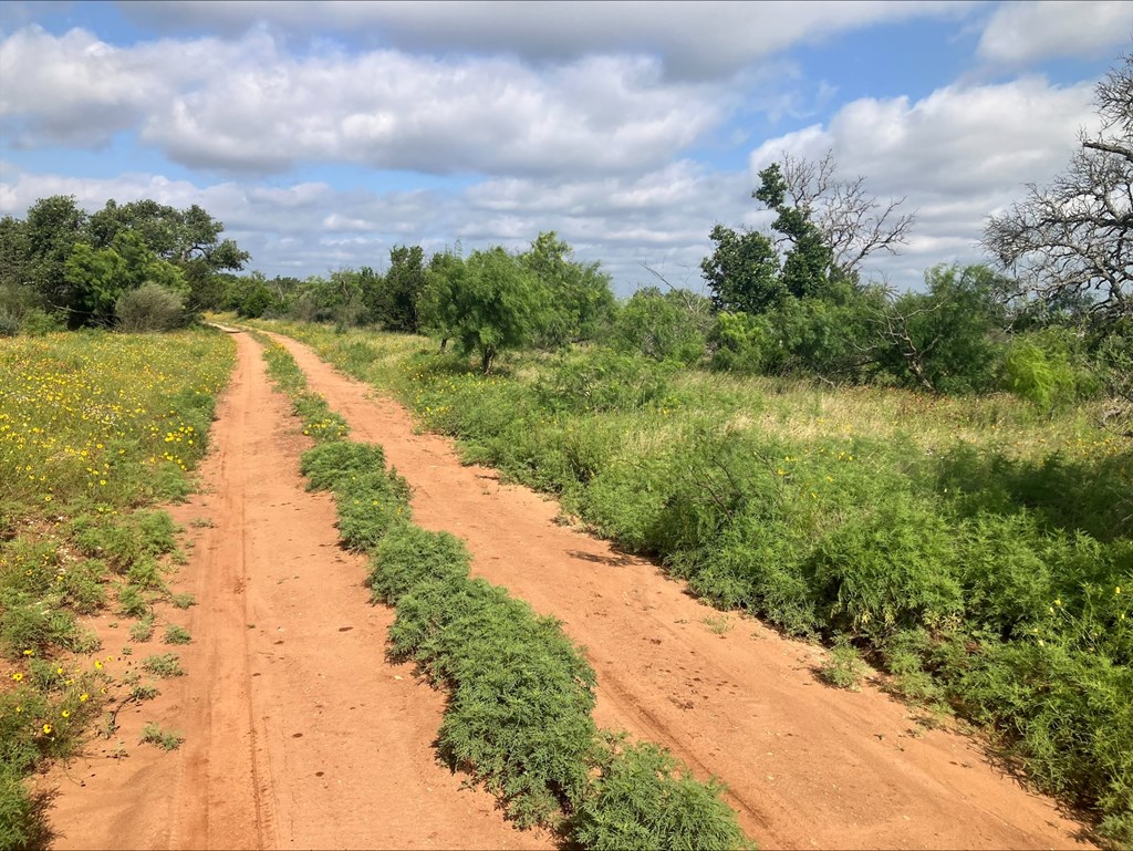 4605 W Ranch Road 1222 Mason TX 76856