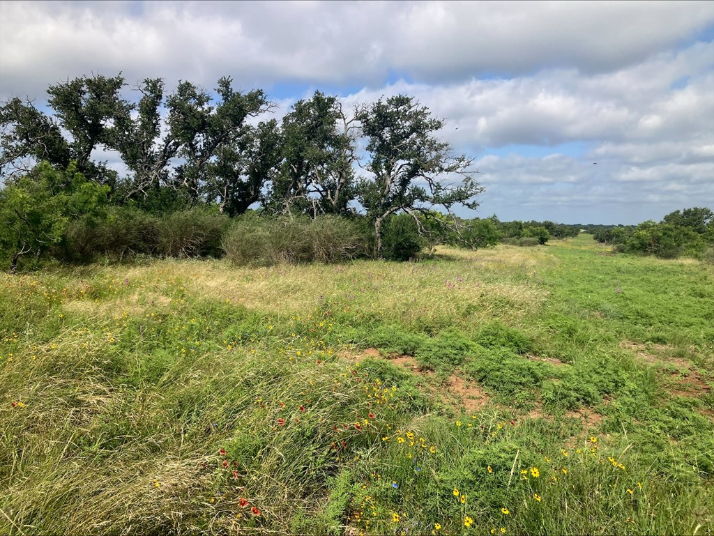 4605 W Ranch Road 1222 Mason TX 76856