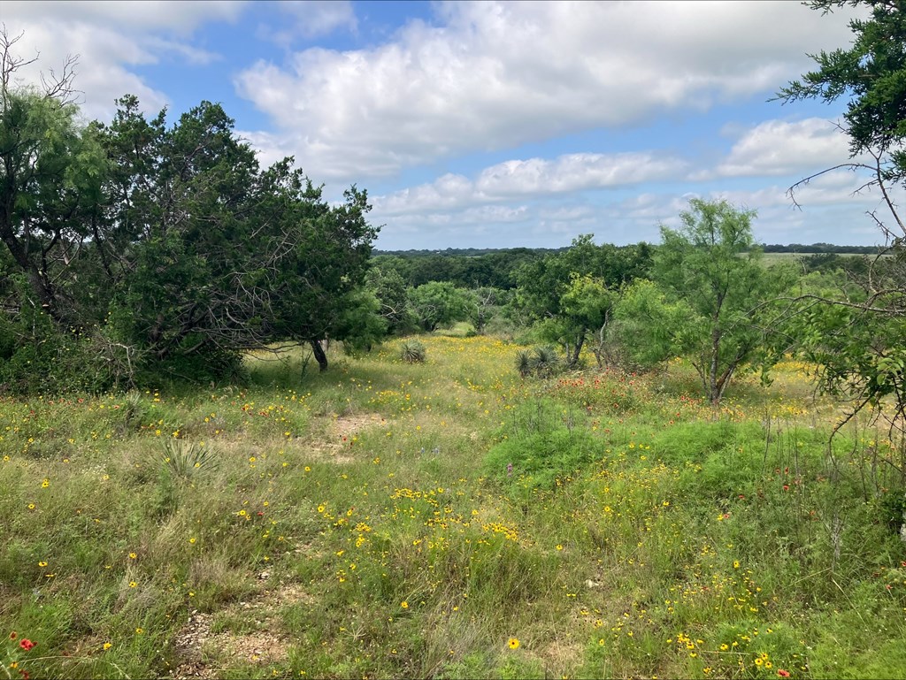 4605 W Ranch Road 1222 Mason TX 76856