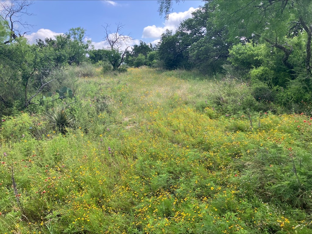 4605 W Ranch Road 1222 Mason TX 76856