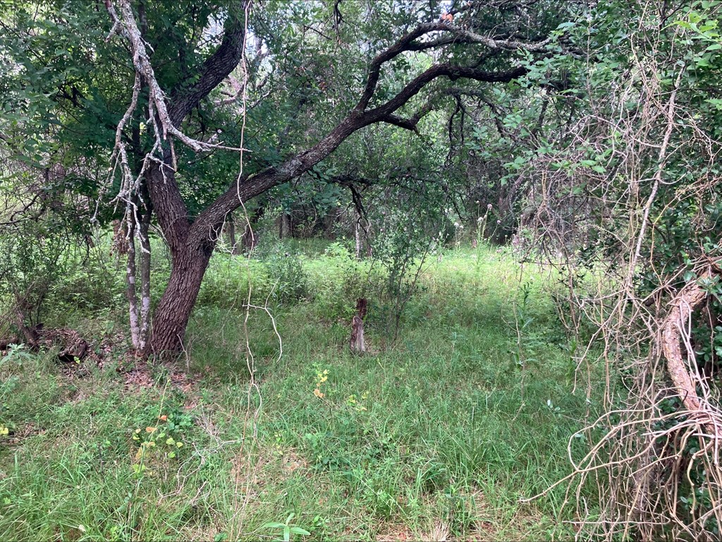 4605 W Ranch Road 1222 Mason TX 76856