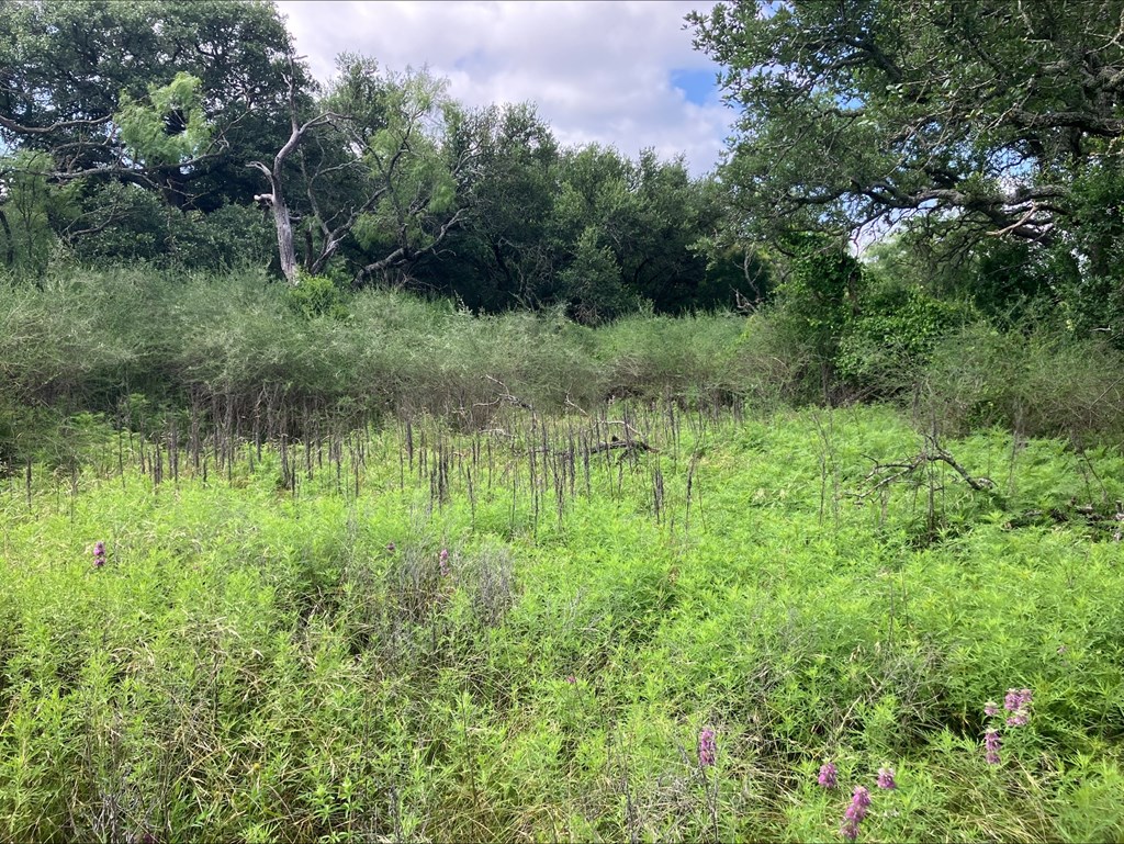 4605 W Ranch Road 1222 Mason TX 76856