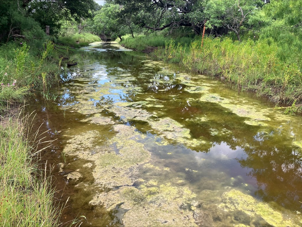 4605 W Ranch Road 1222 Mason TX 76856