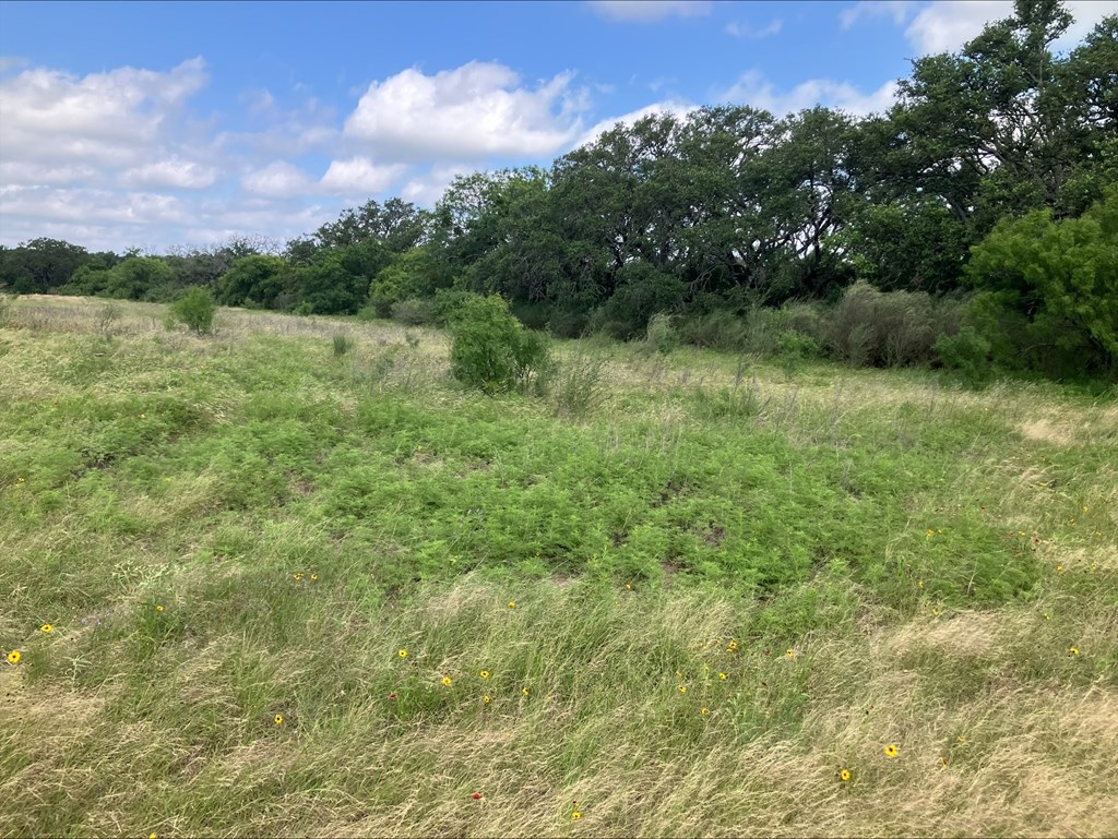 4605 W Ranch Road 1222 Mason TX 76856