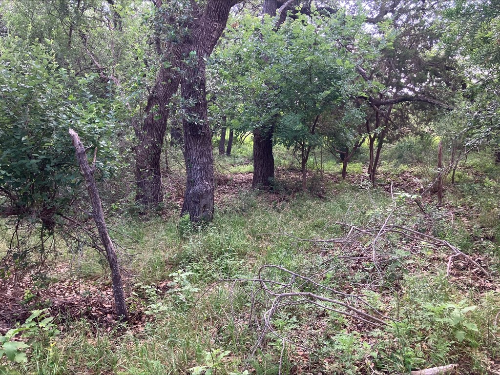 4605 W Ranch Road 1222 Mason TX 76856