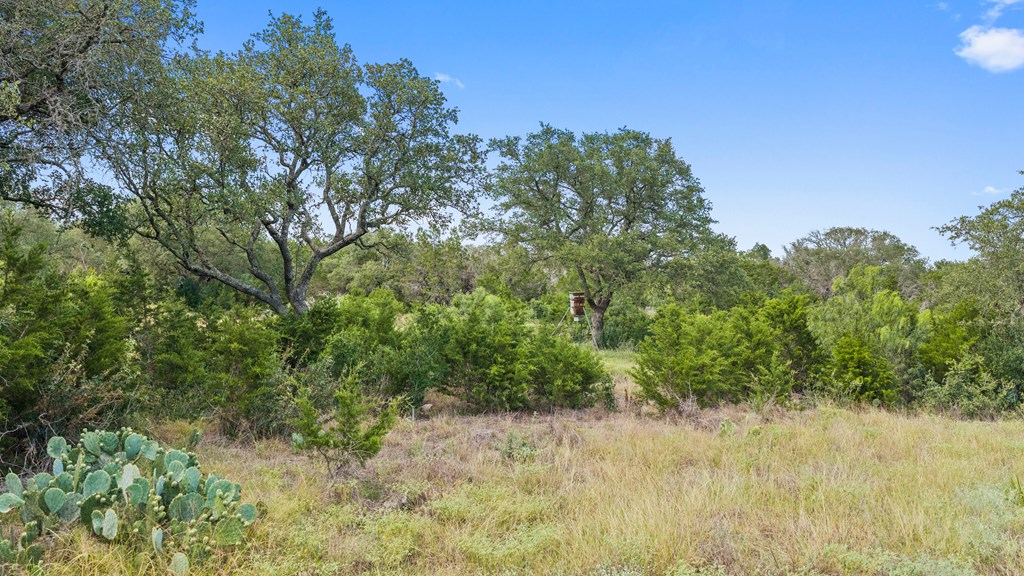 764 Stubbs Johnson City TX 78636
