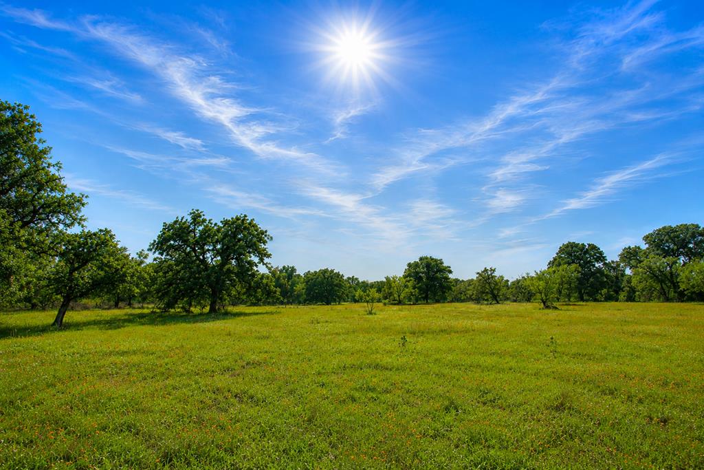0 Fly Gap County Road Mason TX 76856