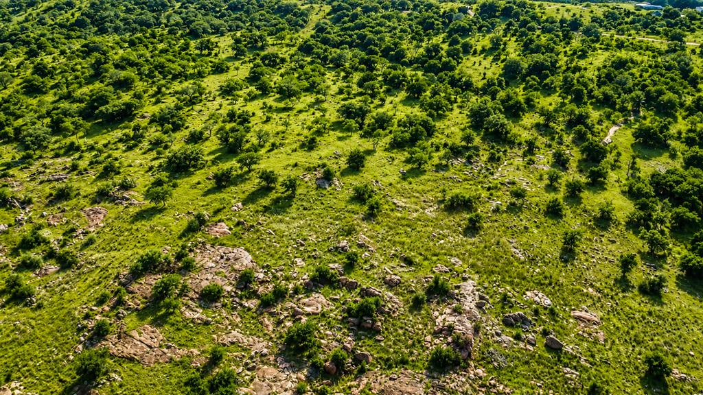 0 Fly Gap County Road Mason TX 76856