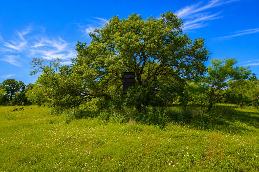 0 Fly Gap County Road Mason TX 76856