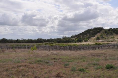 2282 Sultemeier-moellering Road Fredericksburg TX 78624