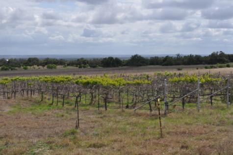 2282 Sultemeier-moellering Road Fredericksburg TX 78624