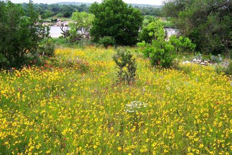 0 Settemeyer Road Mason TX 76856