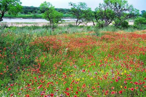 0 Settemeyer Road Mason TX 76856