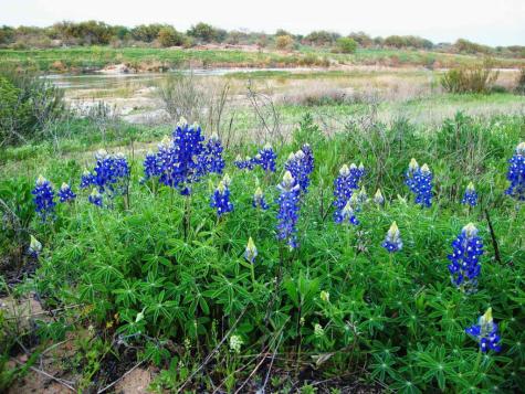 0 Settemeyer Road Mason TX 76856